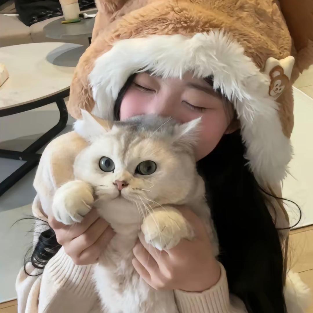 失眠小羊.