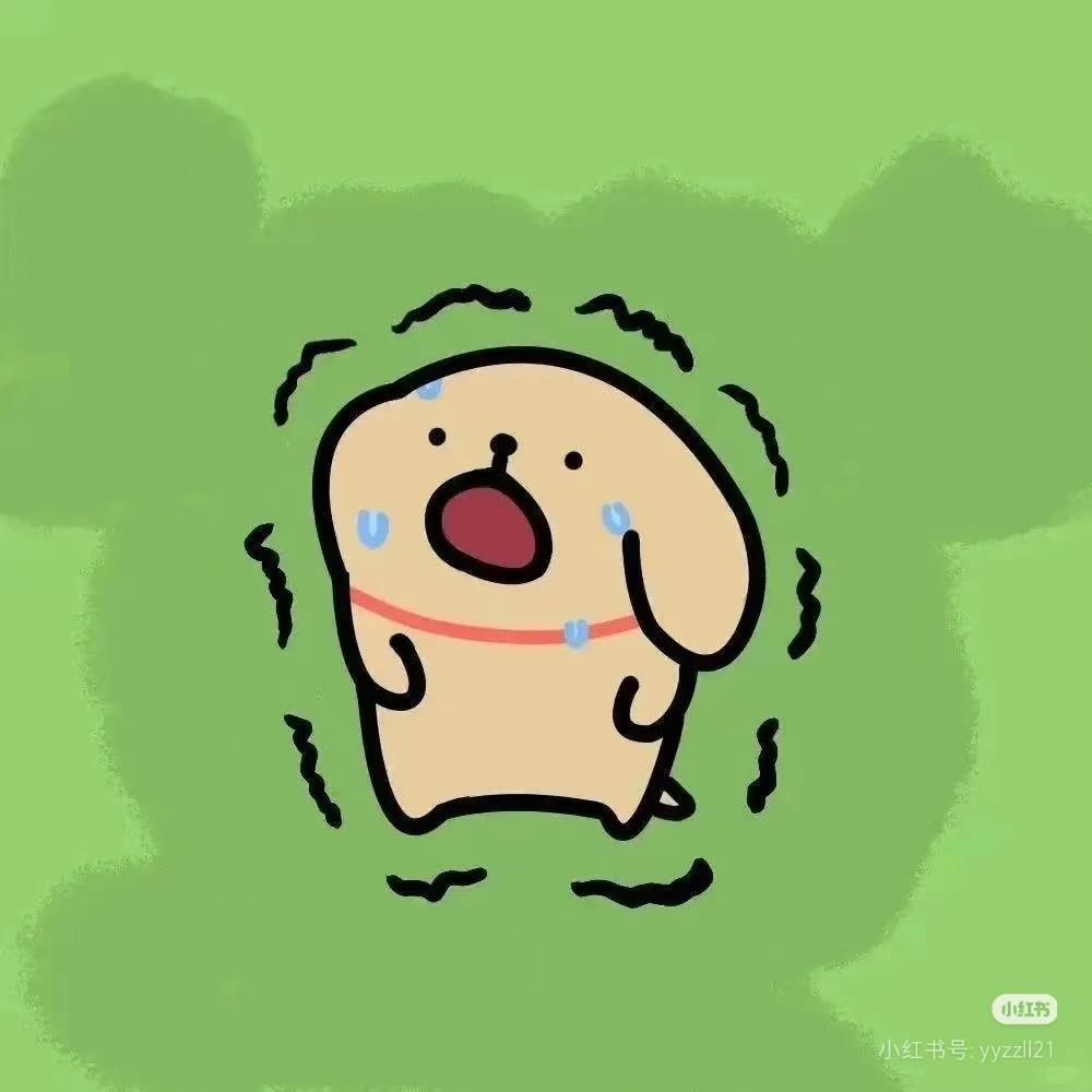 小陈主人的小狗