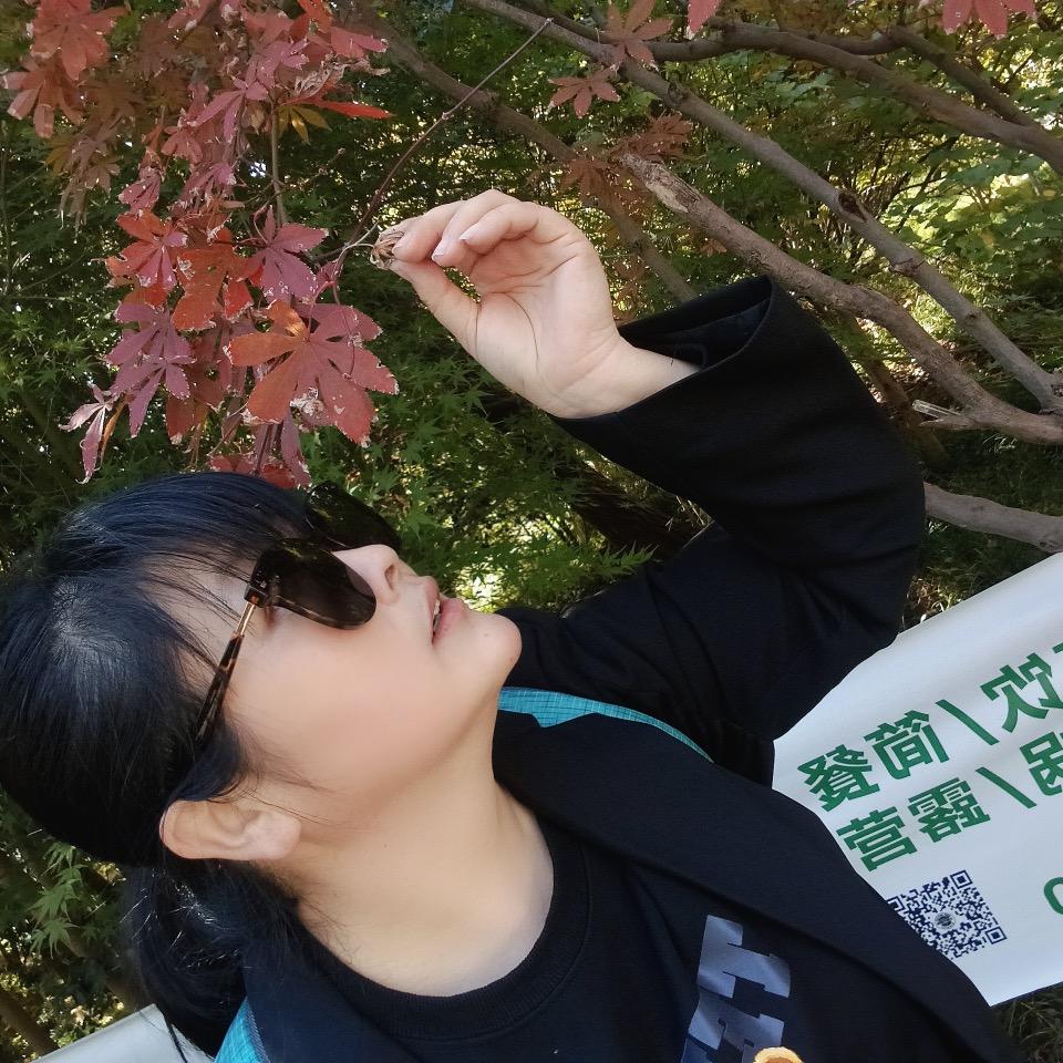 猴子请来的
