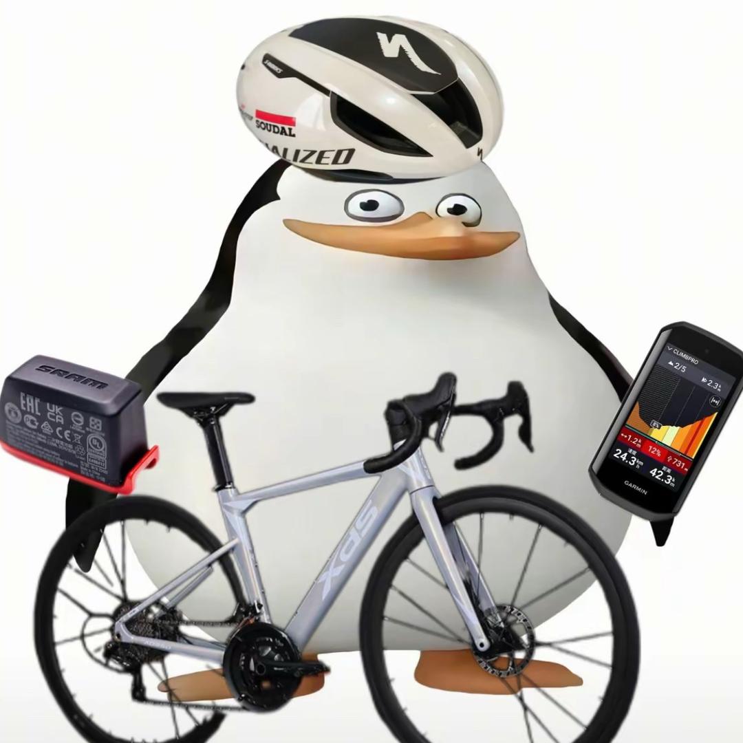 臭臭硬硬的小骑佬