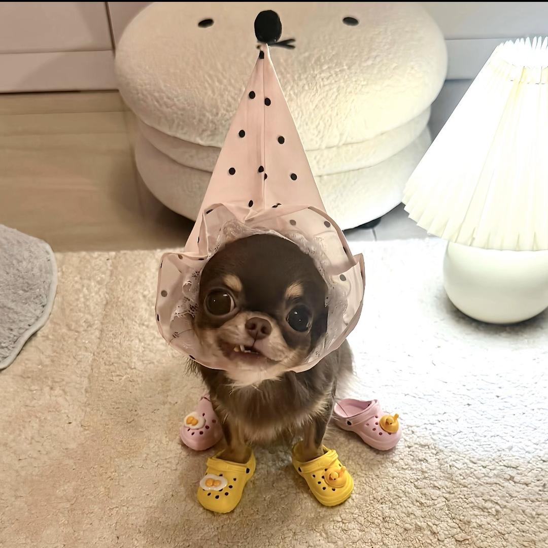 蛋挞大王