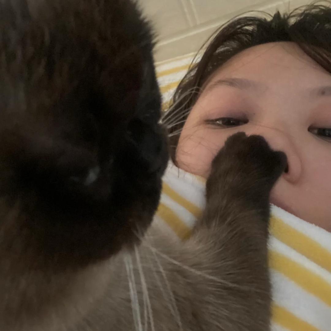 心碎小猫