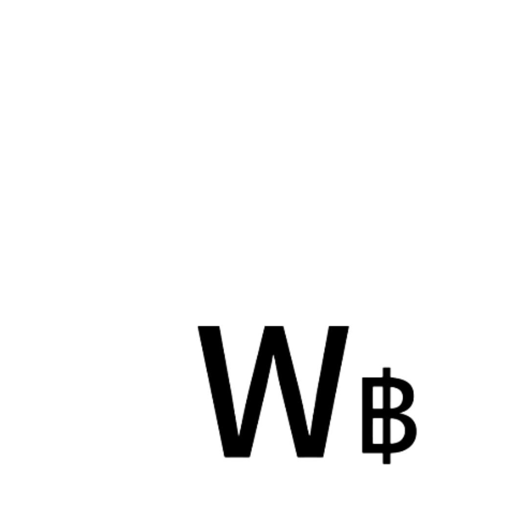 吴文斌