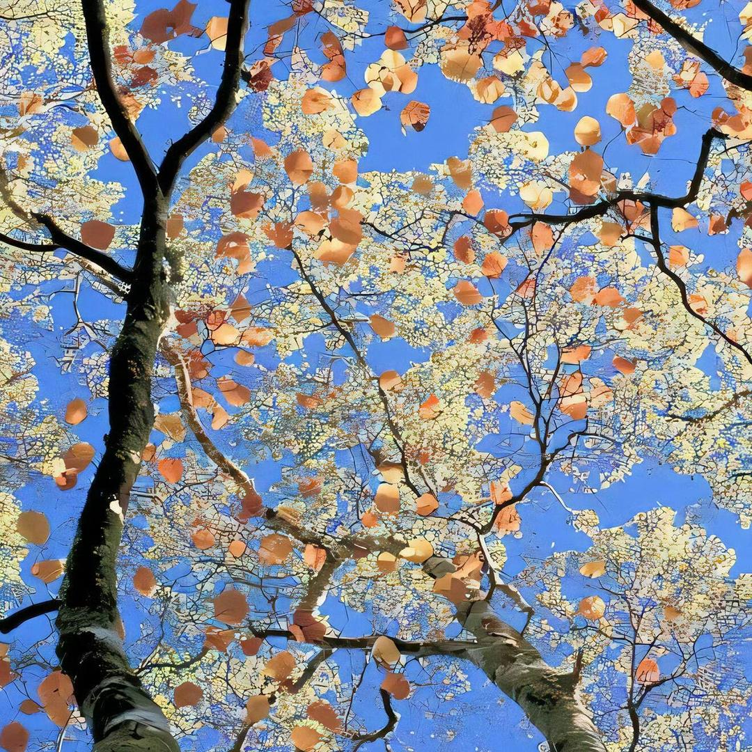 ✨佳佳是大王✨