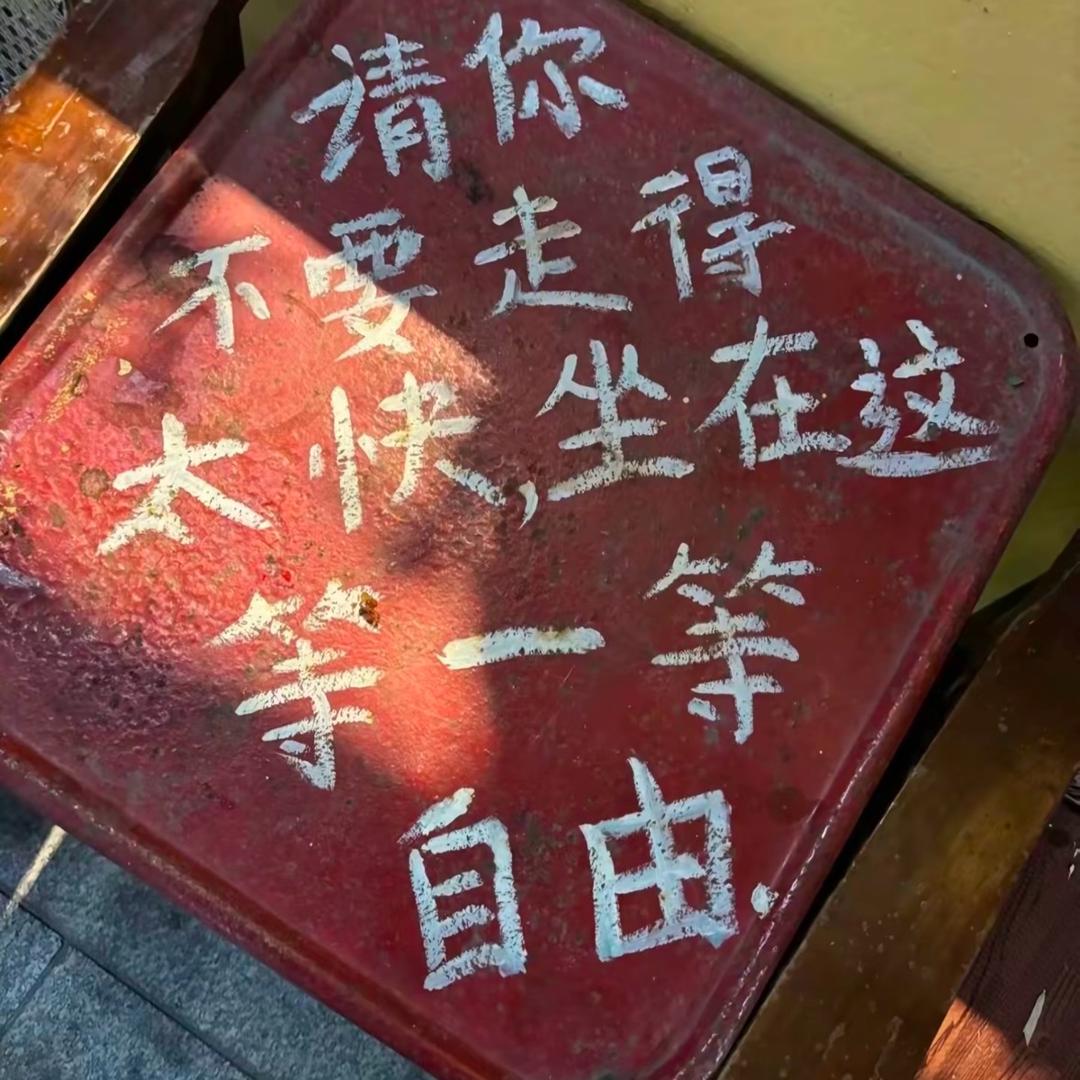 一棵会跳曼舞的树