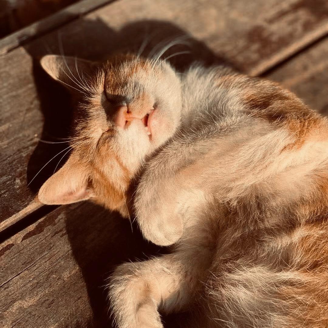 Cʜeɴ丶💙
