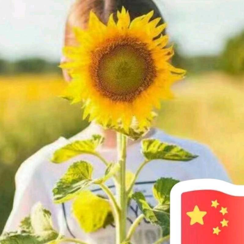 🎉🎉林七乡中心幼儿园🌼🌼