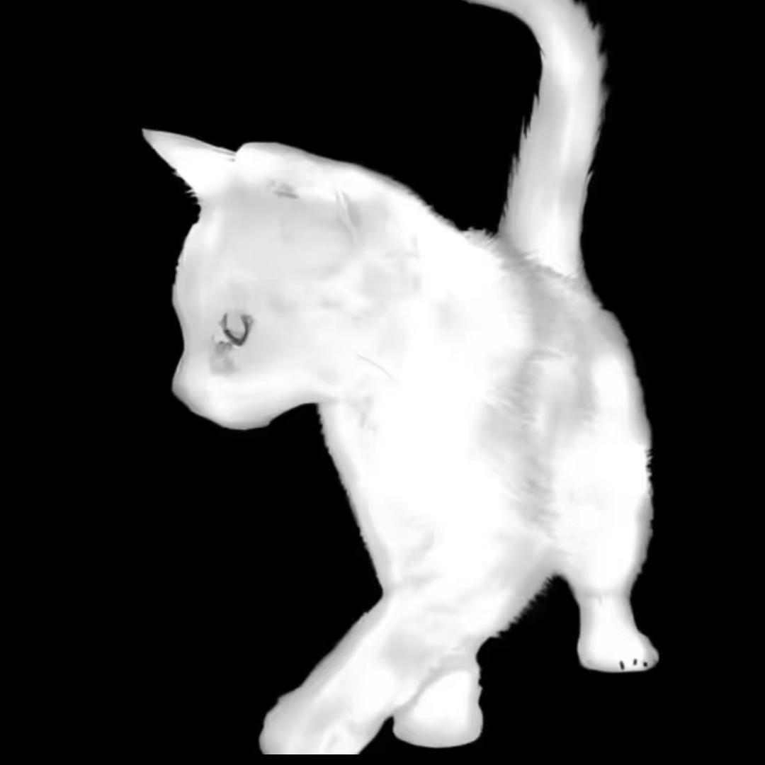 姒