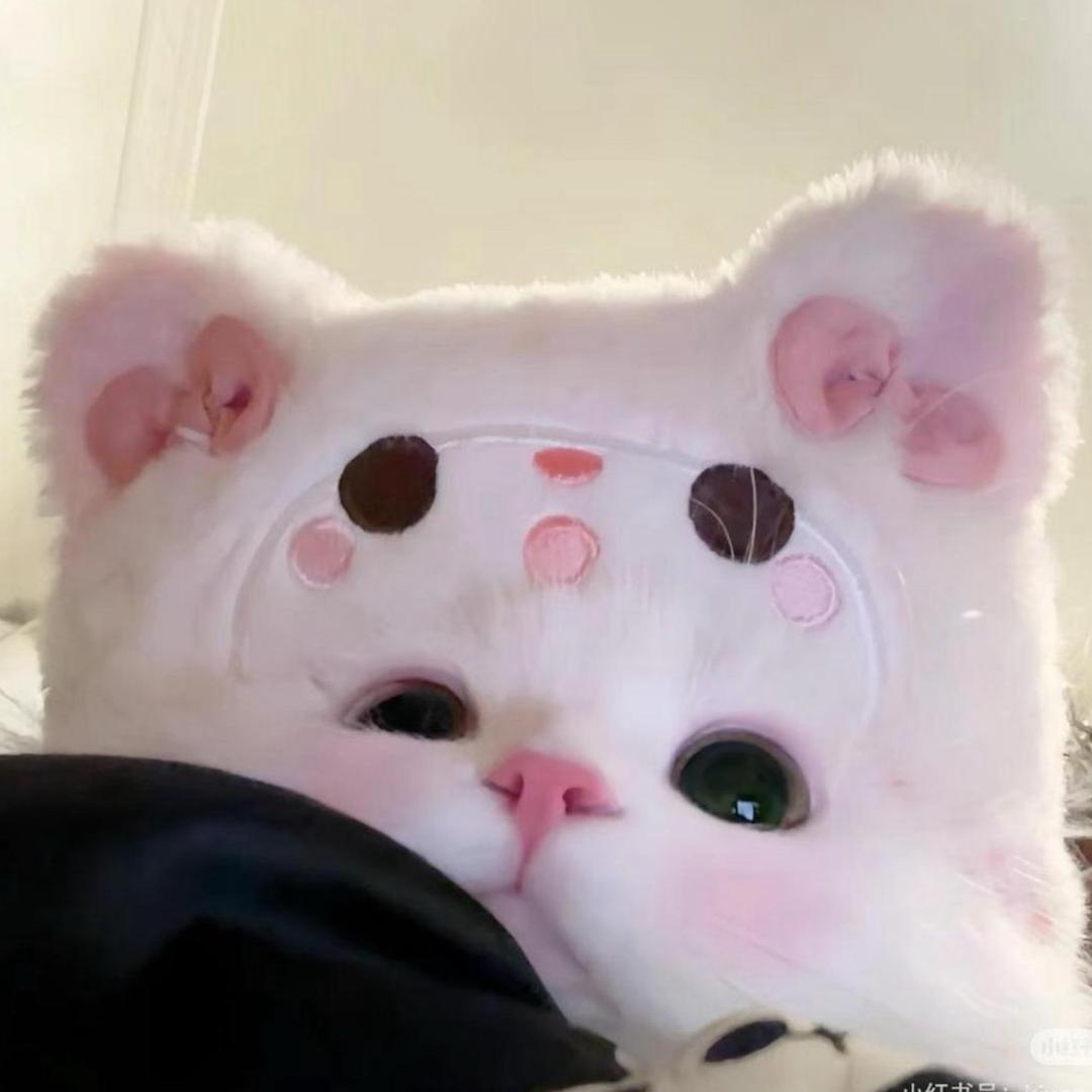 涵子up（尊师赛赛