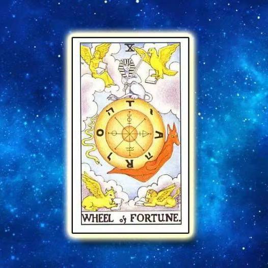🌜Saya🔮Tarot💫Love