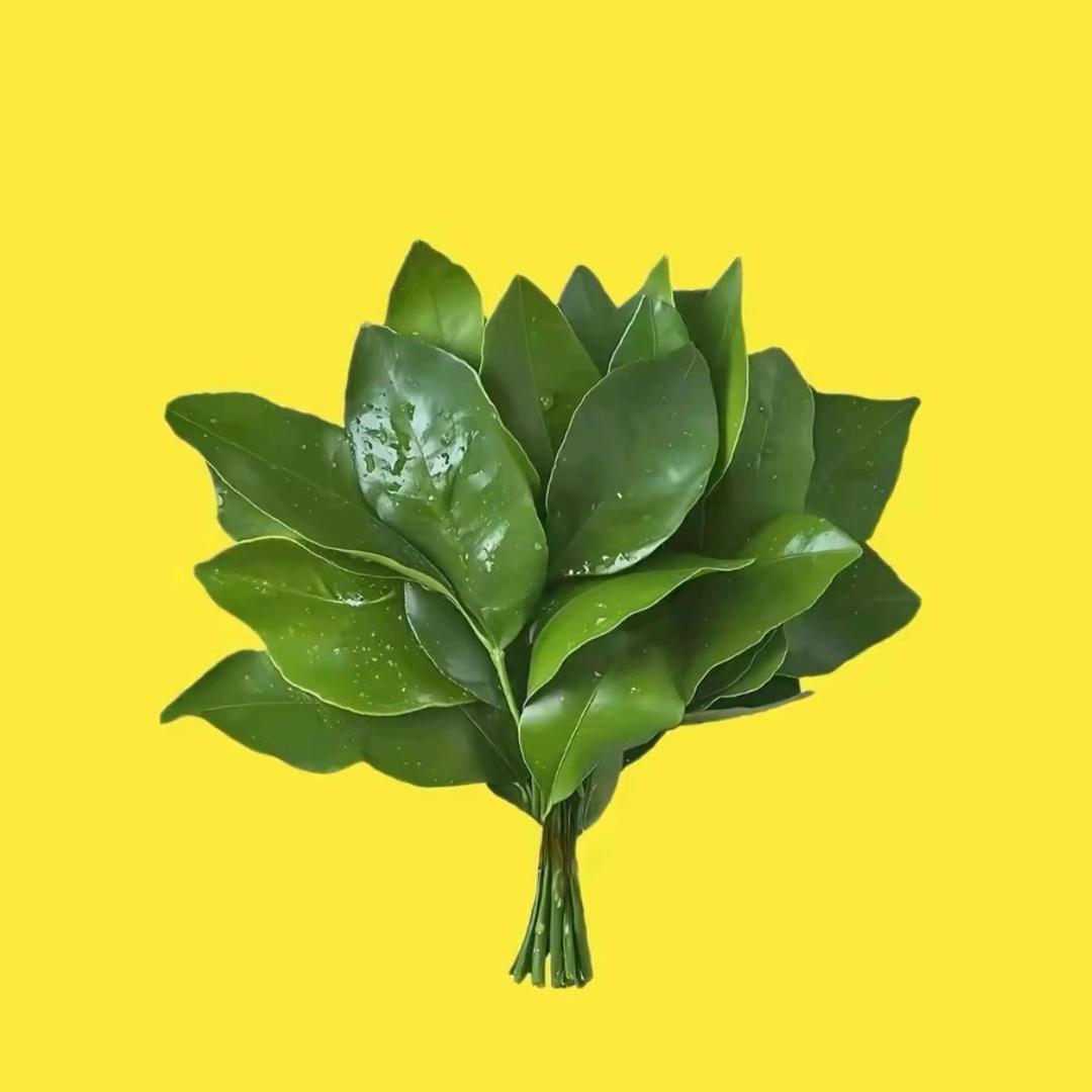 十三💫