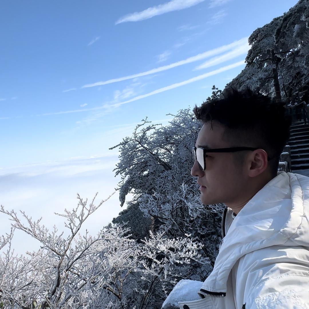 子龙到处跑