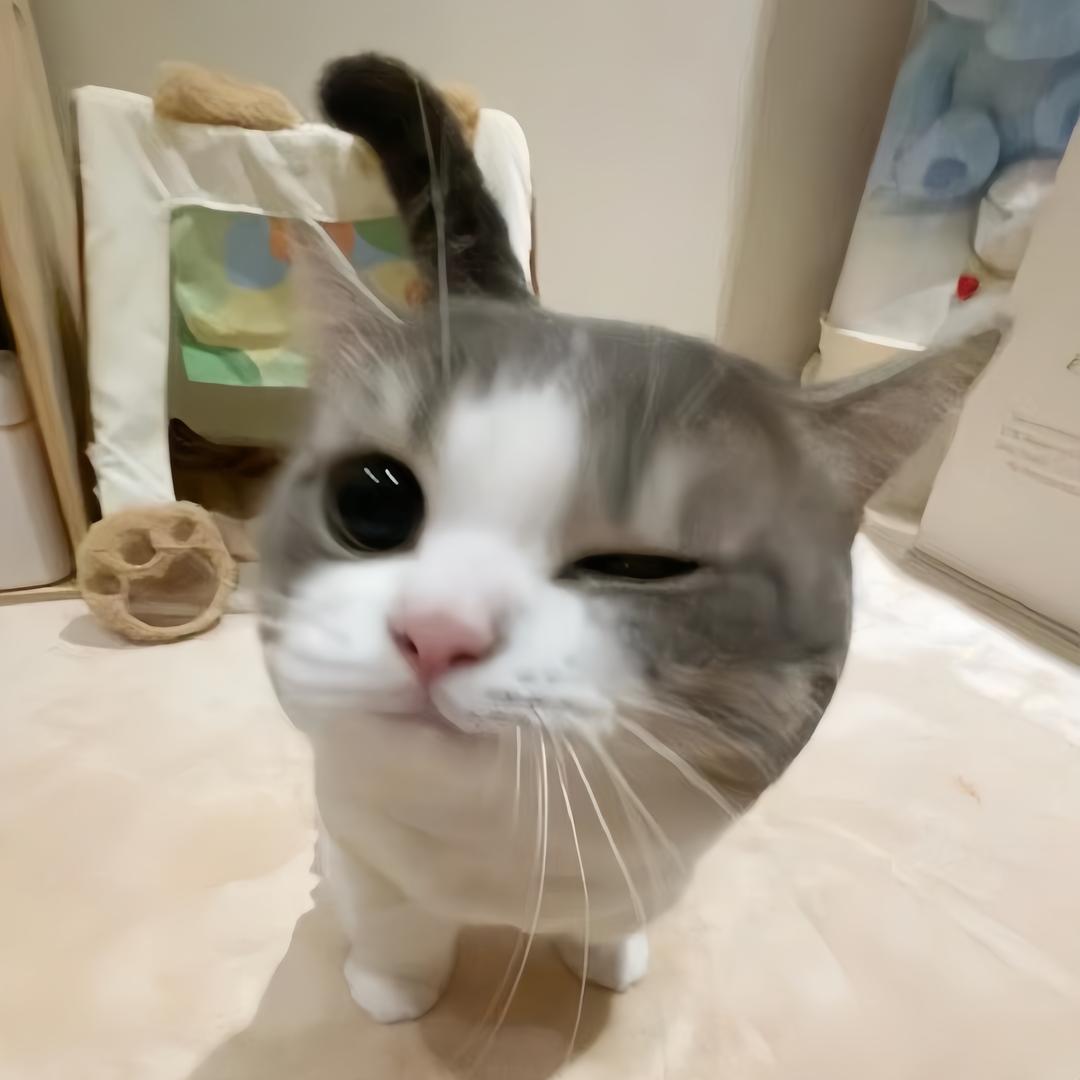 二台子王祖贤