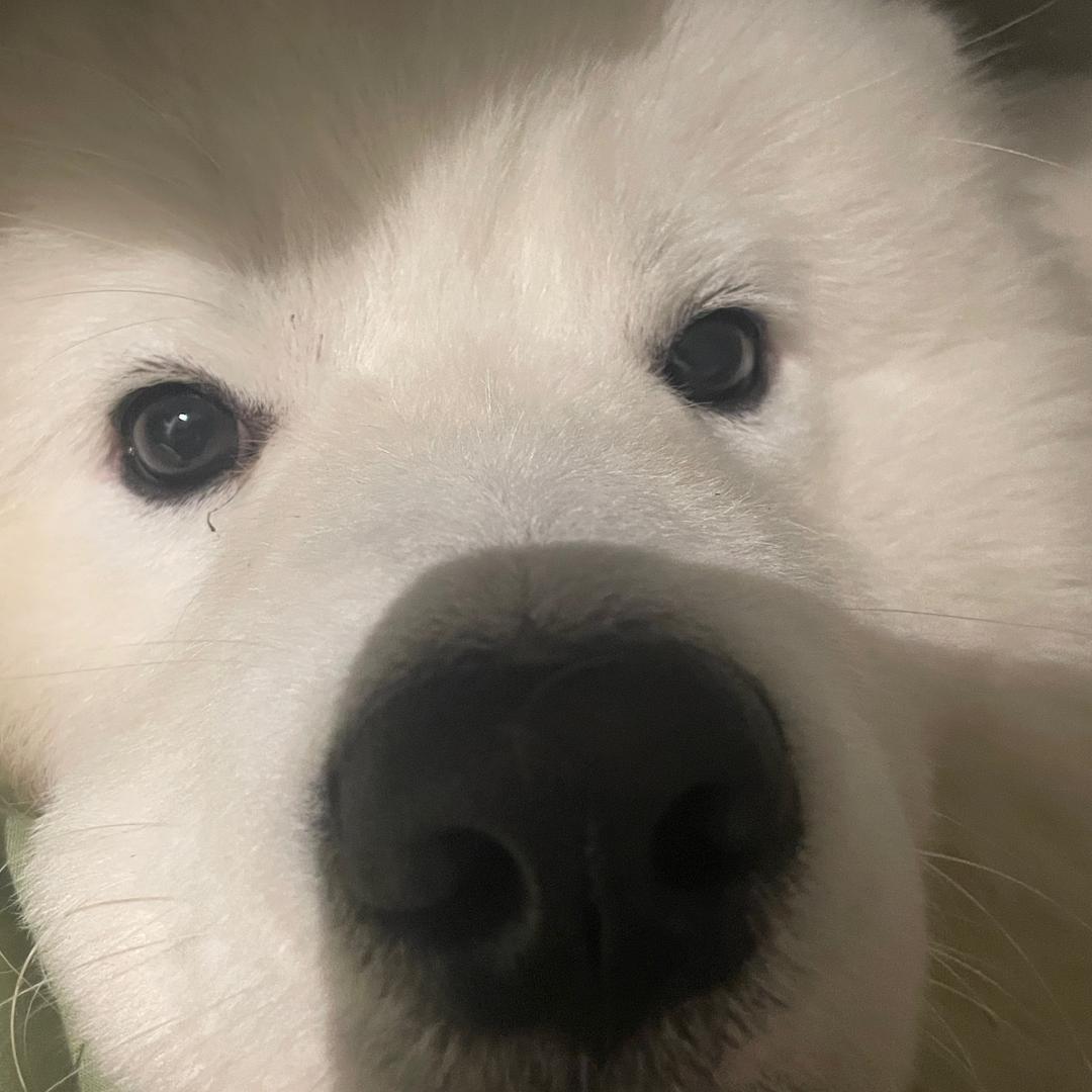 小泽