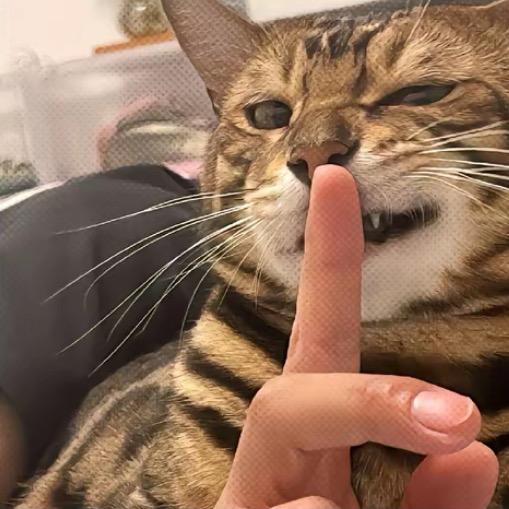 恒.
