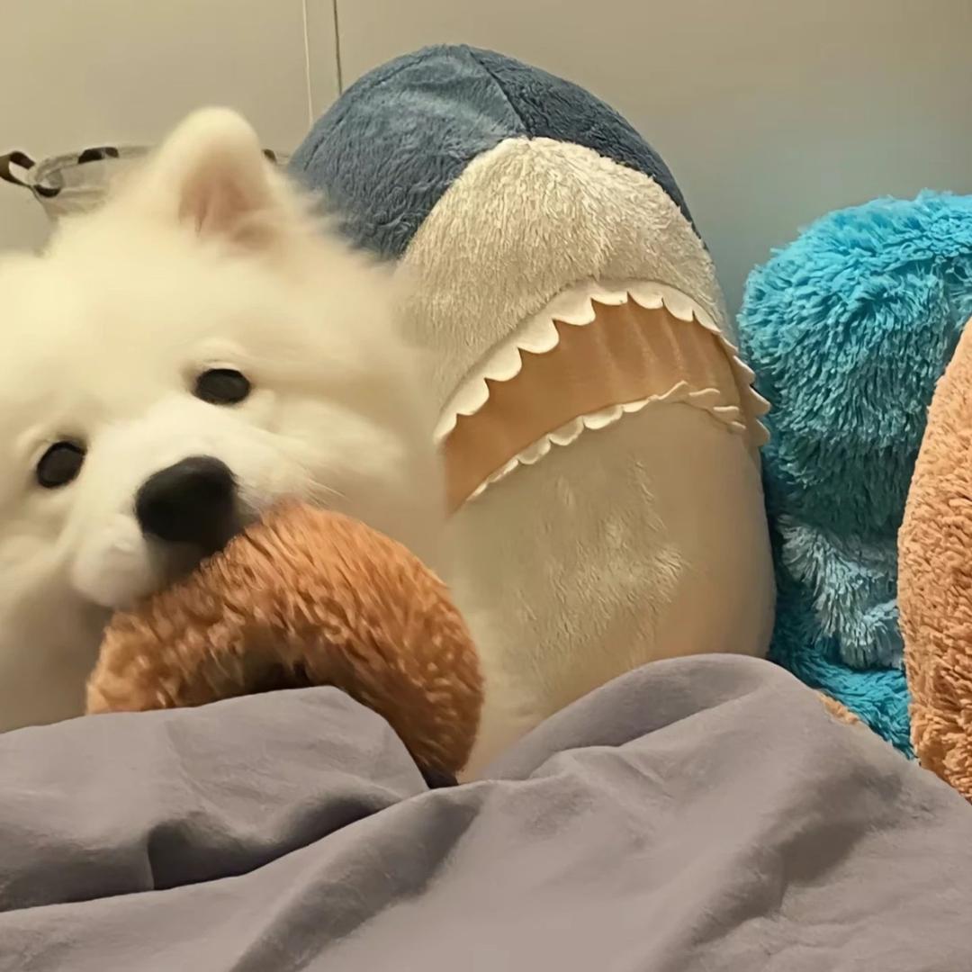 再见