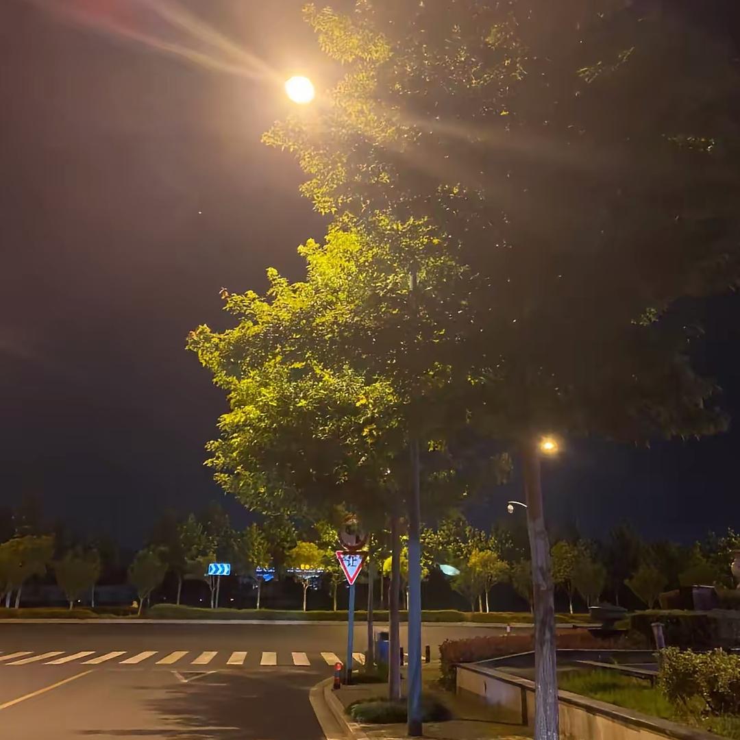 红玫瑰🌹🌹