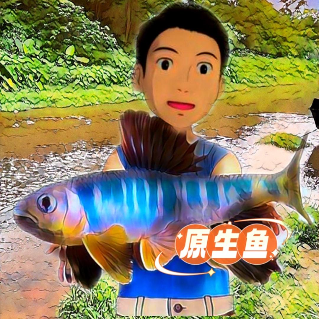 顺德阿尚