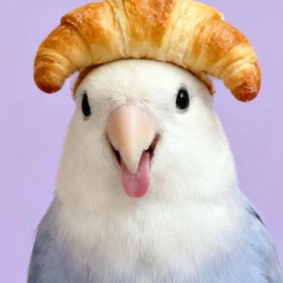 刘饺子