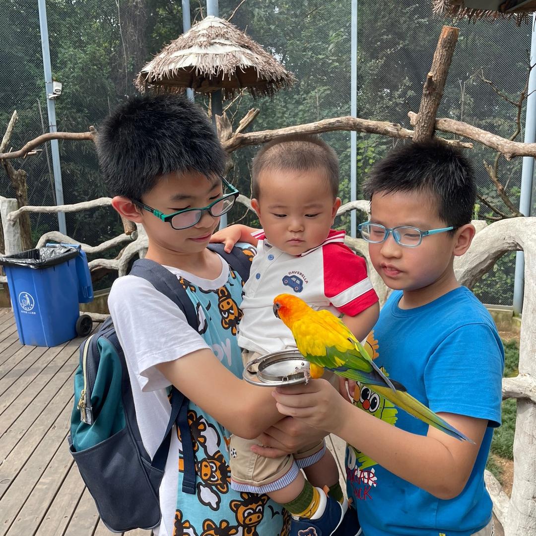 爱吃的小胖纸