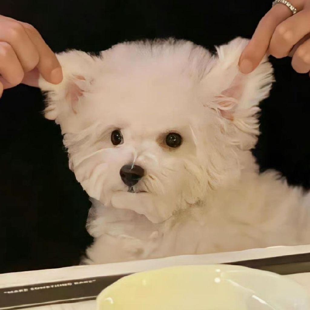 早睡吃饱没烦恼