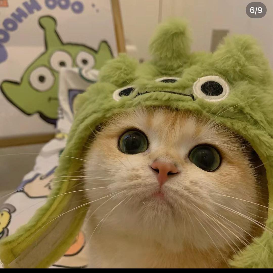 妹妹的腰不是腰