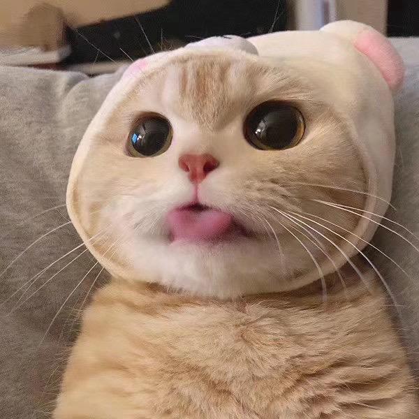 @Yyy
