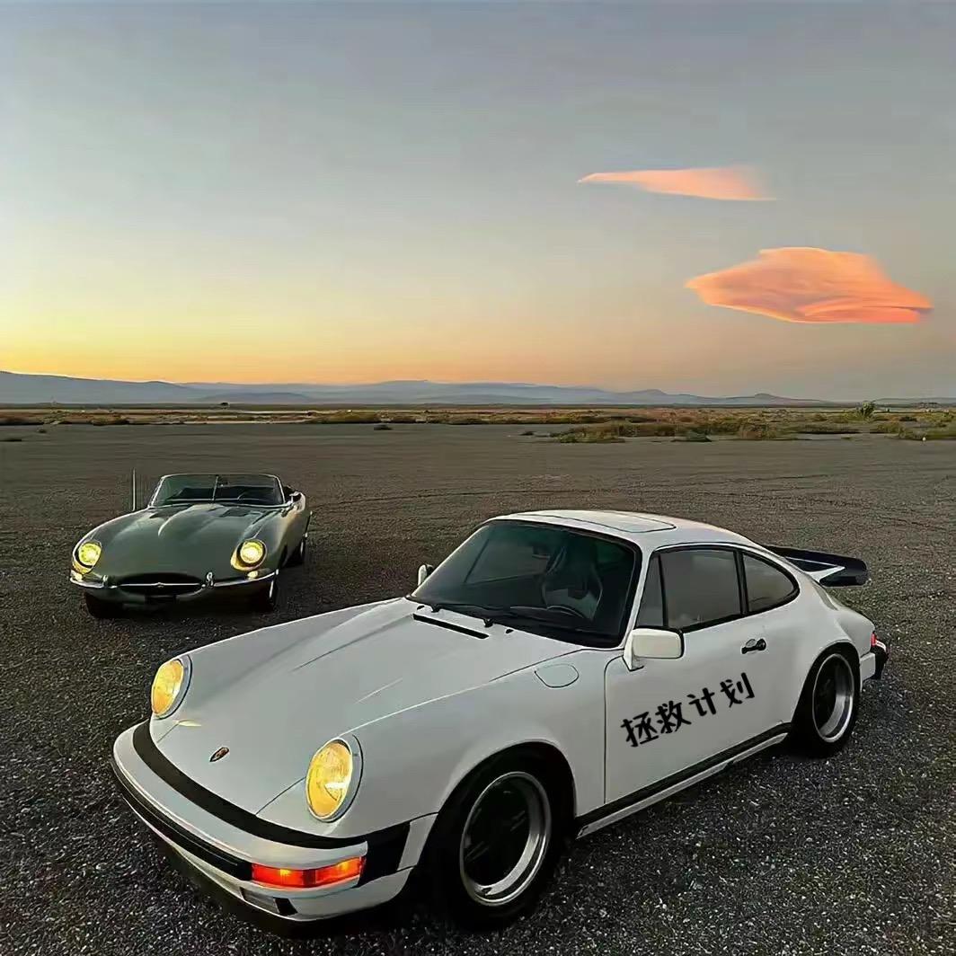 拯救计划 大老郑