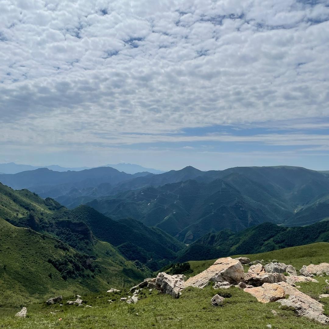 晨星融合王老师