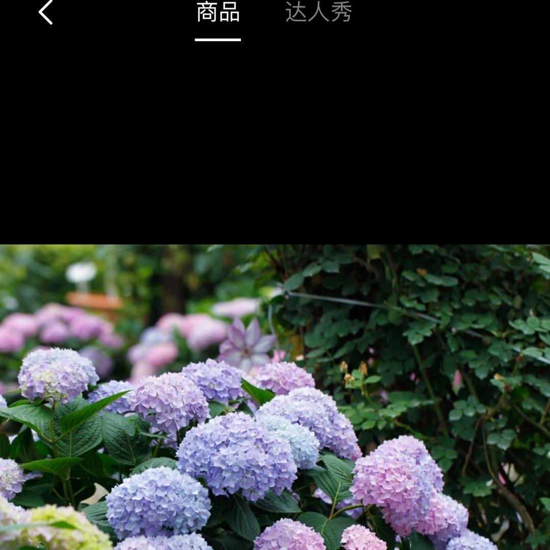 永诚花卉园艺店