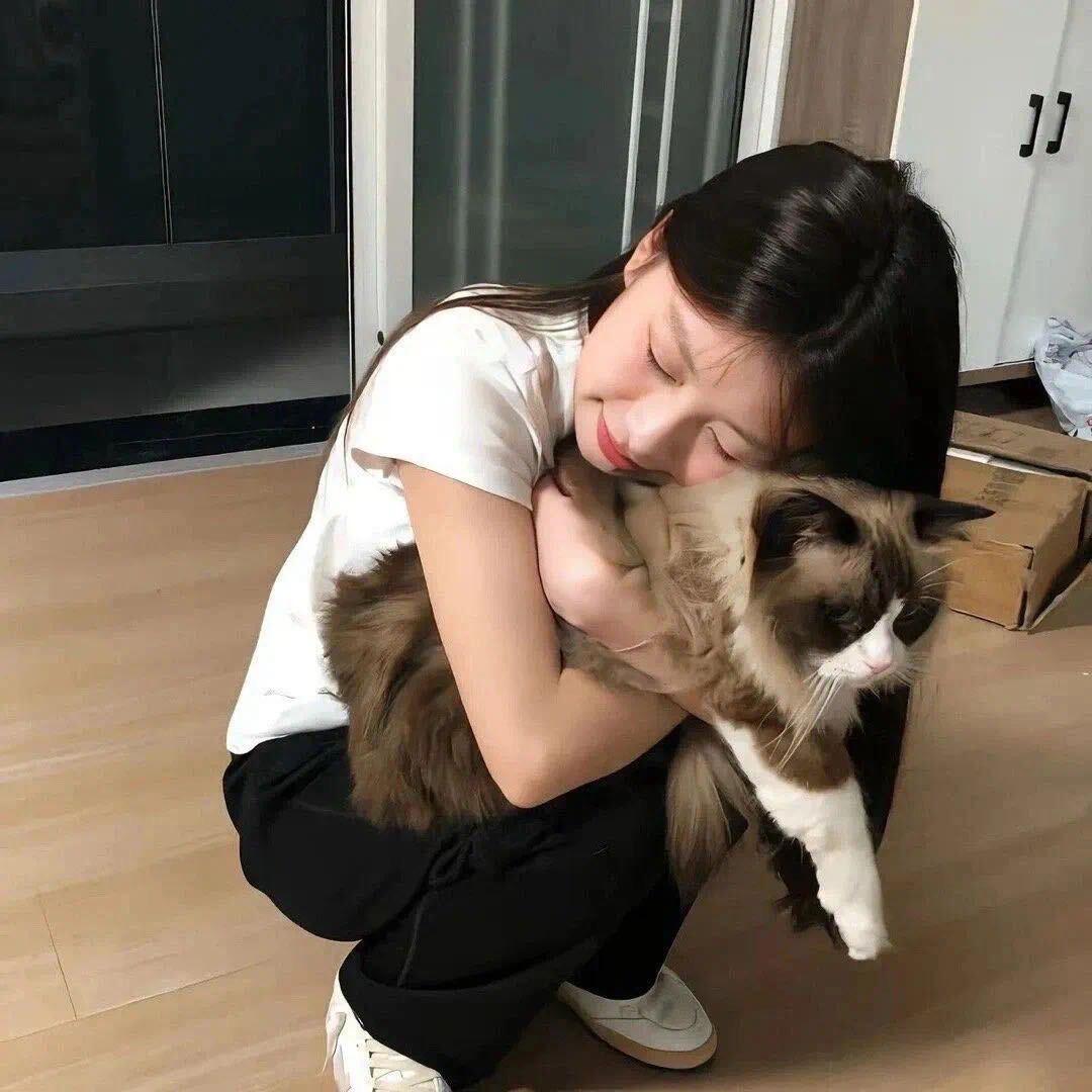 茉莉奶绿