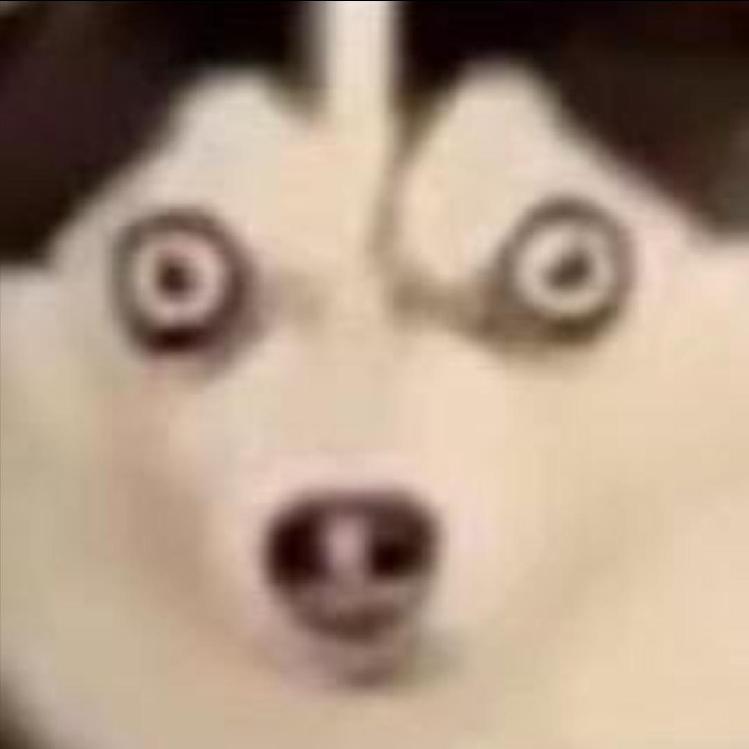 猪儿虫