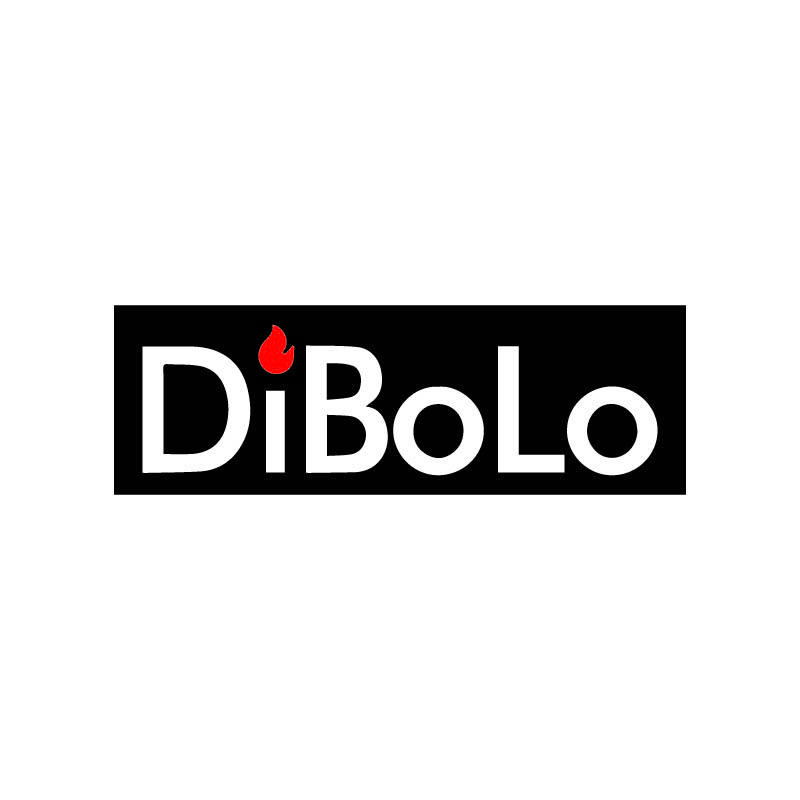 DiBoLo蒂保罗打火机定制