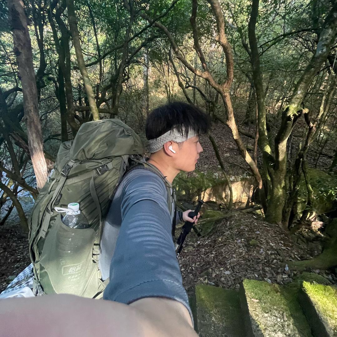 吃饭不吃菜🍃