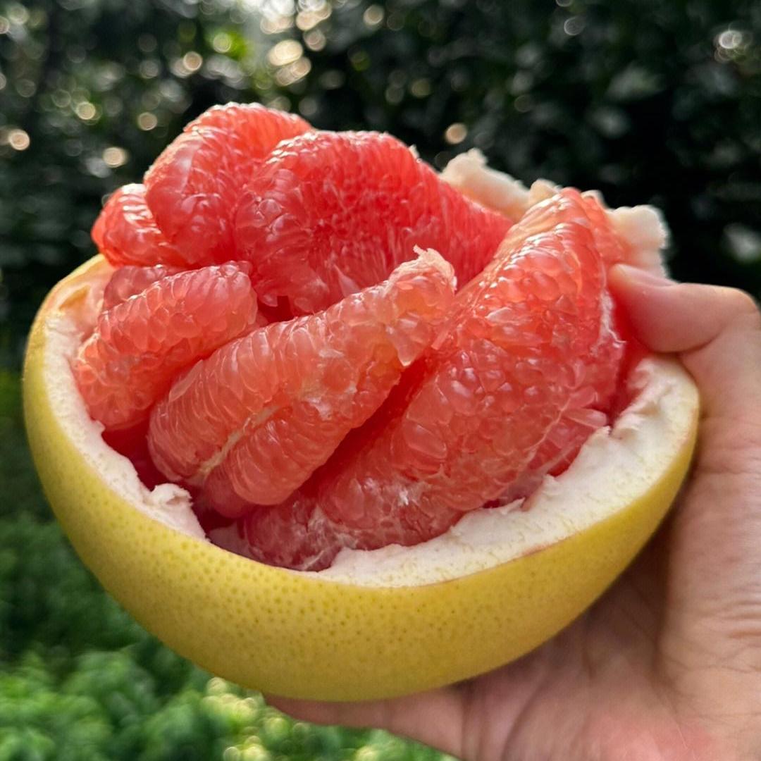 云起水果直播