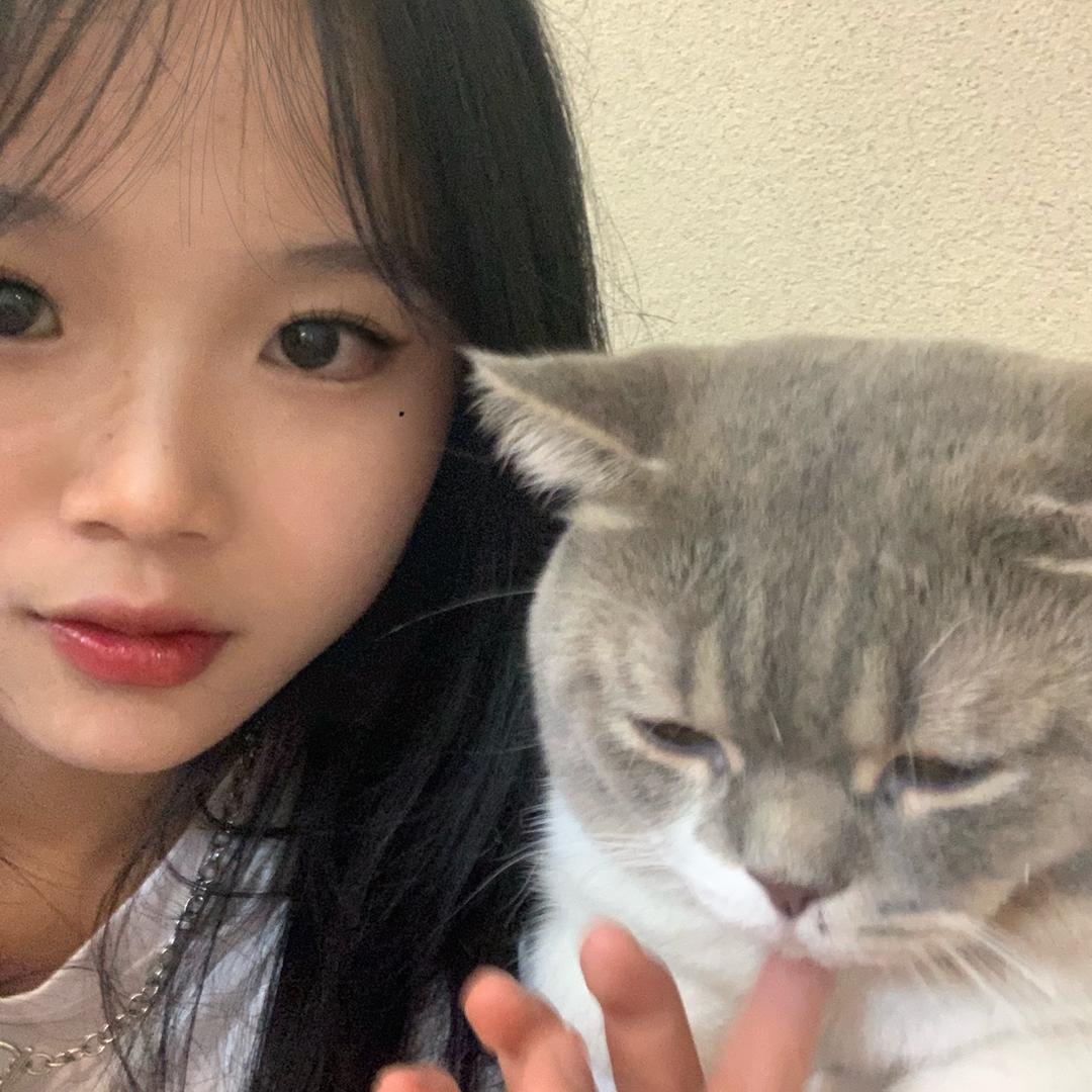 一颗忧郁的辣椒