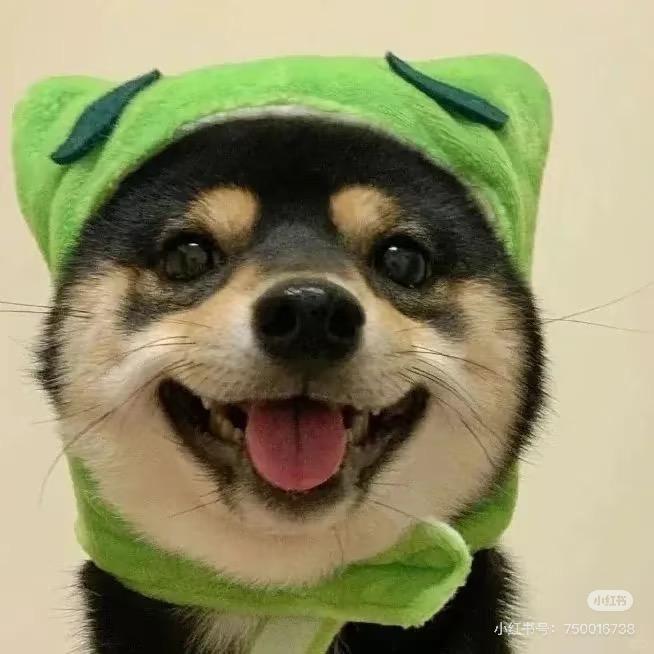 六六