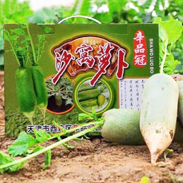 沙窝萝卜辛品冠种植中心