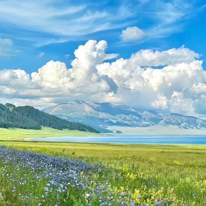 刘总说银发