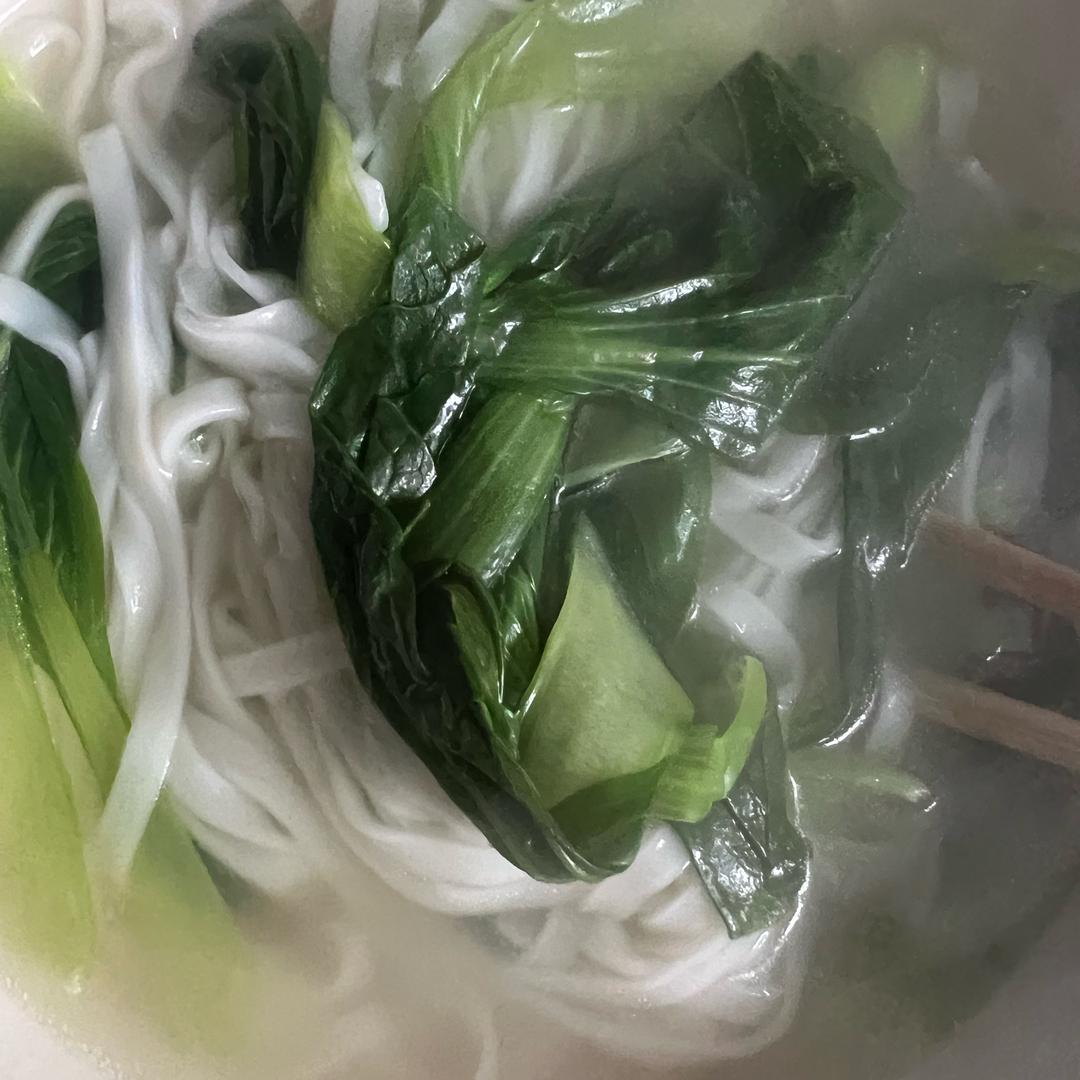 小青菜（27号早6:30首播）