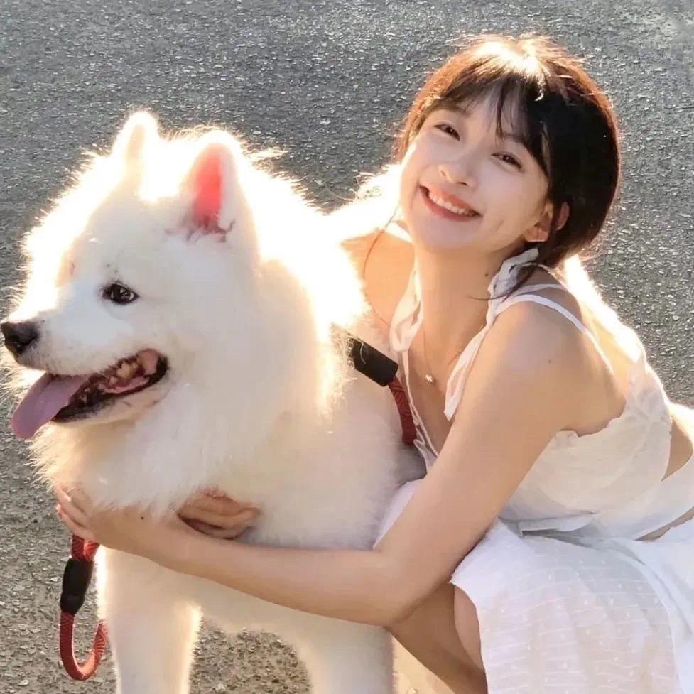 哈尼1