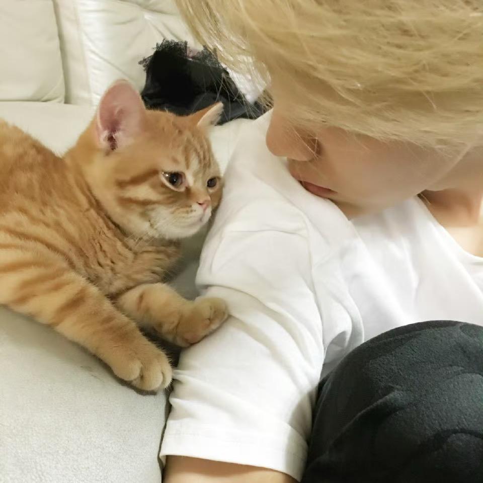 不想吃胖'🙈🍲