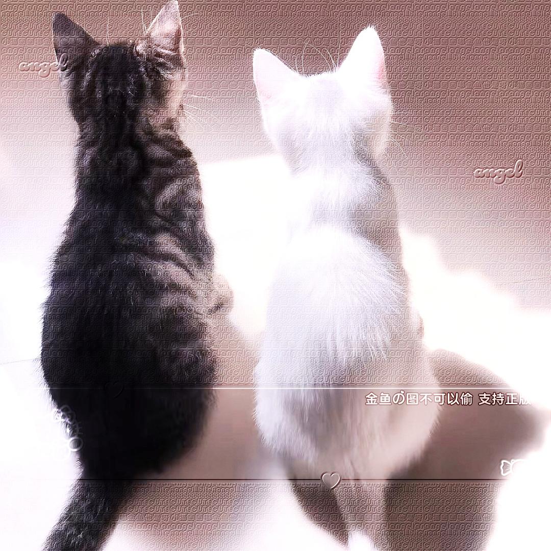 妈咪很美味（助眠）