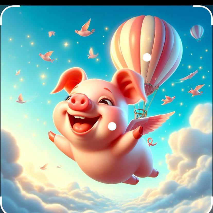 小猪飞上天