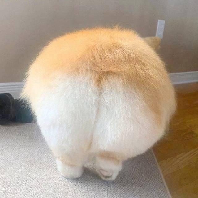 超级天下无敌悲伤大西瓜