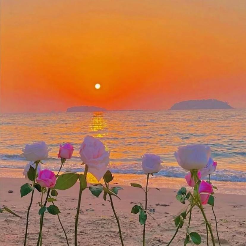 拾光花木园艺中心