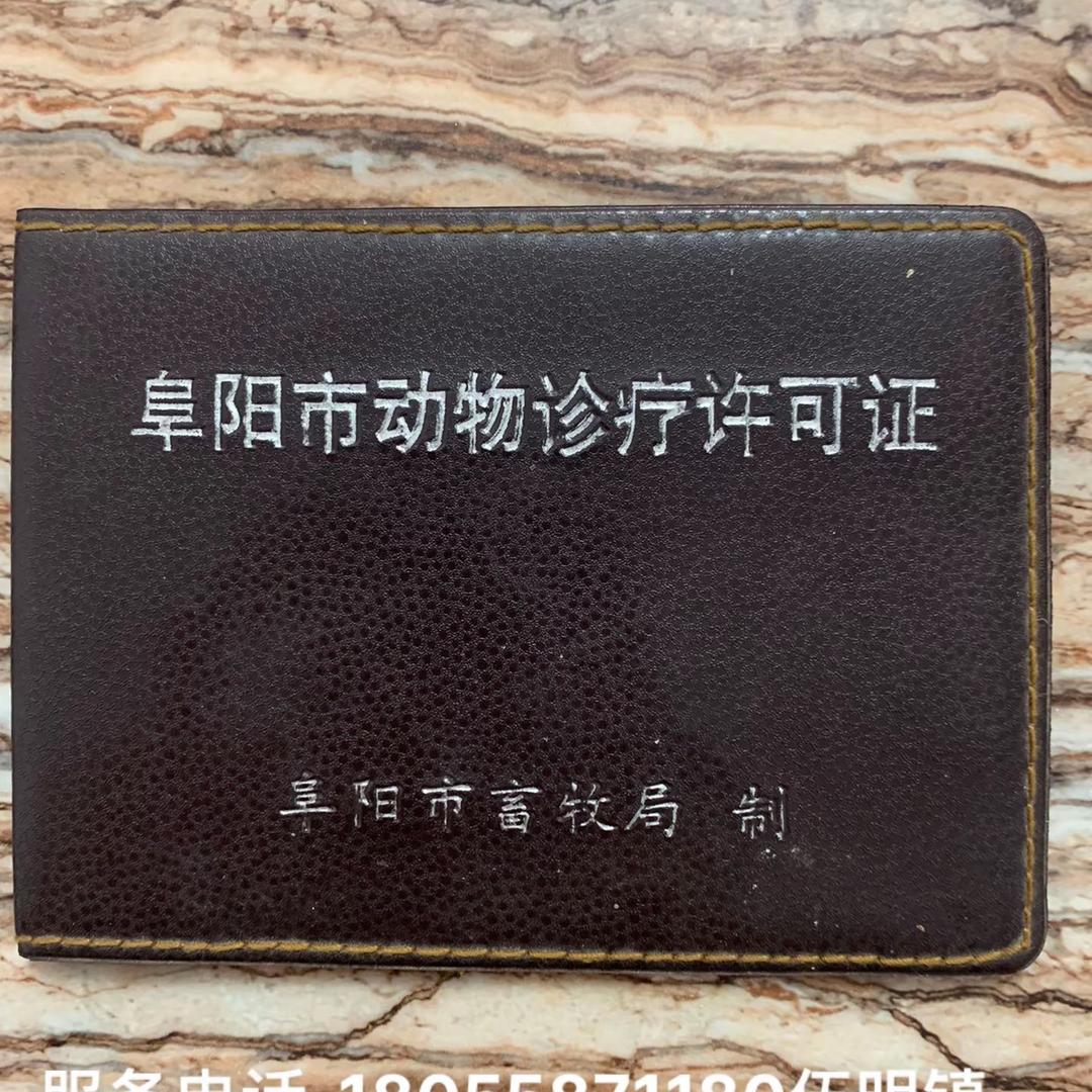 伍明动物宠物店