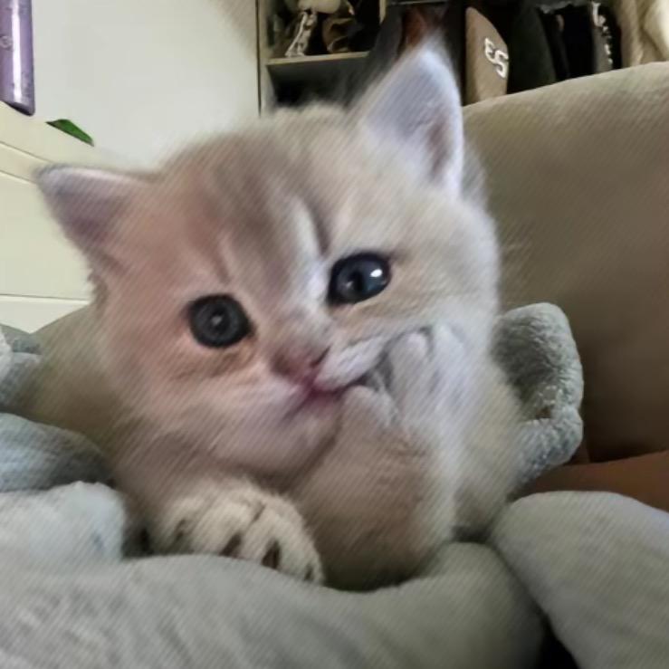 馬小姐ˡᵃ