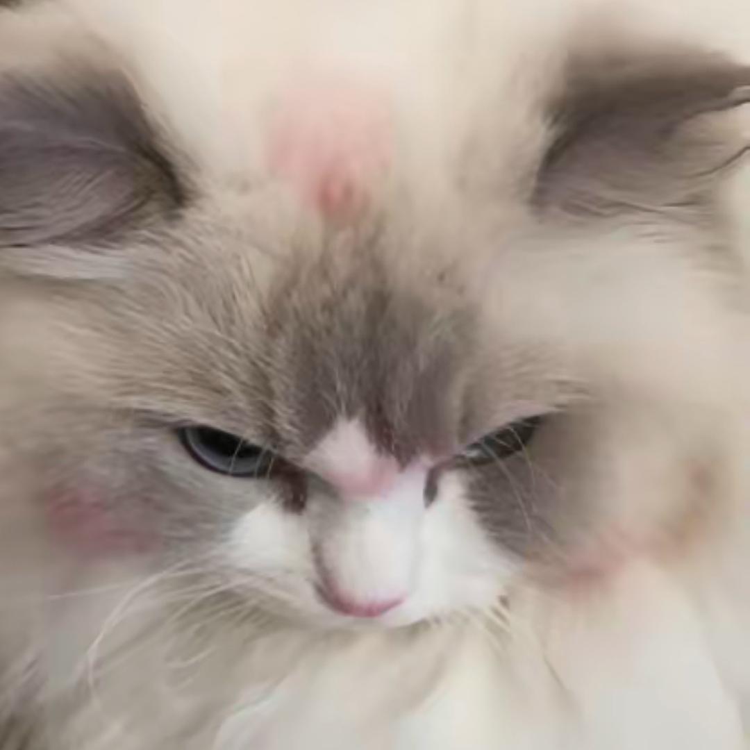 想吃饱