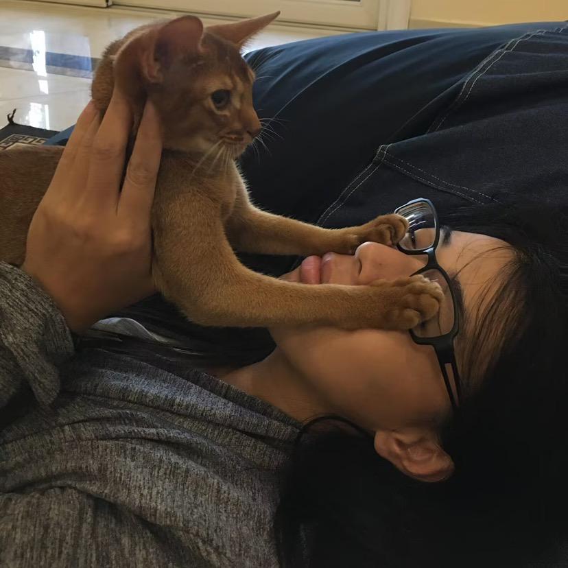 -甜妹的甜-